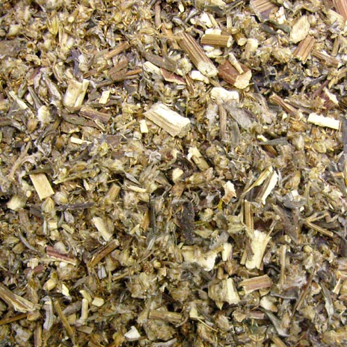 불가리스쑥(머그워트) 전초 1kg (Artemisia vulgaris (Mugwort)) 캐나다산