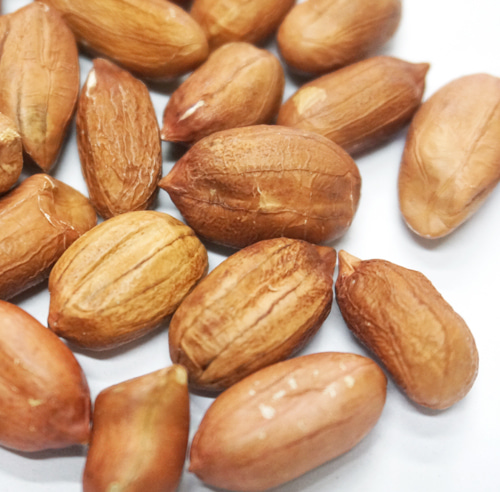 땅콩 100g (Arachis Hypogaea (Peanut) Fruit) 국산
