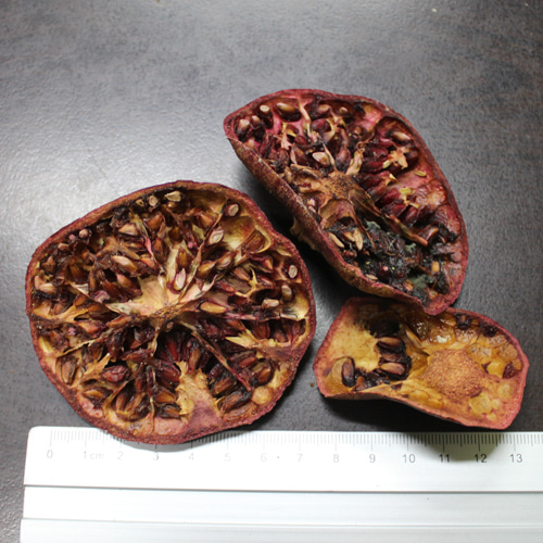 석류 1kg (Punica Granatum(Pomegranate) Fruit) 미국산