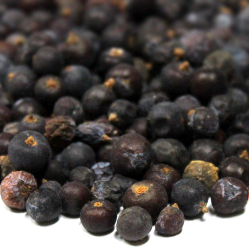 두송 열매 1kg (Juniperus Communis(Juniper berries) Fruit) 국산