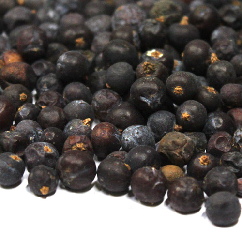 두송 열매 1kg (Juniperus Communis(Juniper berries) Fruit) 캐나다