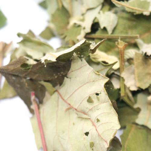 붉나무 잎 50g (Rhus Semialata Leaf) 국산-청주