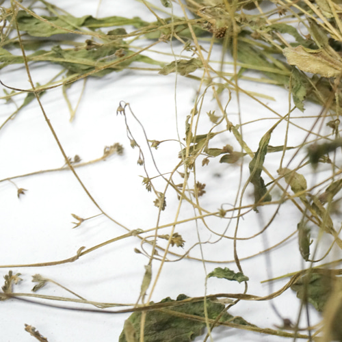 벼잎/줄기 1kg (Oryza Sativa (Rice) Leaf/Stem) 국산/청주