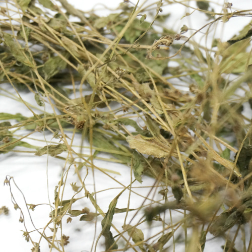 벼잎/줄기 1kg (Oryza Sativa (Rice) Leaf/Stem) 국산/청주