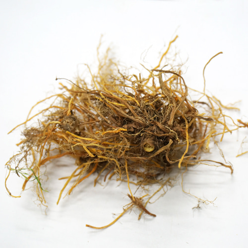범부채 뿌리 50g (Belamcanda Chinensis Root) 국산-청주