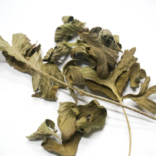 할미꽃 잎 50g (Pulsatilla Koreana Leaf) 국산-청주