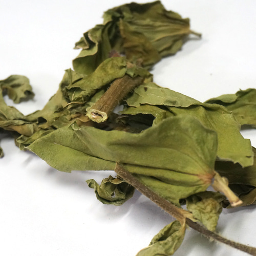 백일홍 잎 50g (Zinnia elegans Leaf) 국산-청주