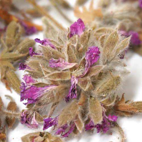 센티드제라늄꽃 50g (Pelargonium Graveolens Flower) 국산-청주