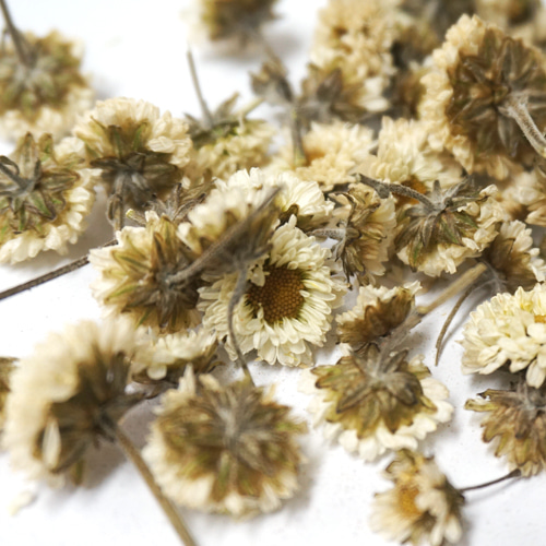 감국꽃(흰감국) 50g (Chrysanthemum Indicum Flower) 국산-청주