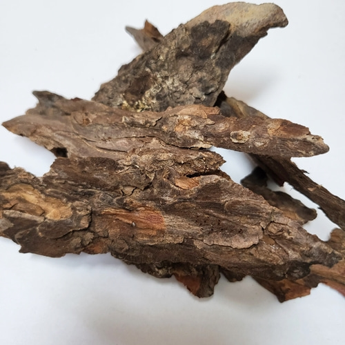 일본잎갈나무껍질 50g (Larix Leptolepis Bark) 국산-청주