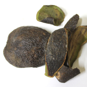 아보카도 열매 1kg (Persea Gratissima (Avocado) Fruit) 멕시코산