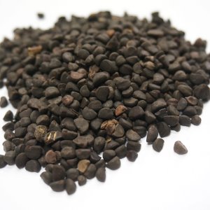 나팔꽃씨가루 1kg (Ipomoea Nil Seed Powder) 중국