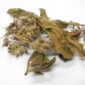보리지 전초 50g (Borago Officinalis) 국산-청주