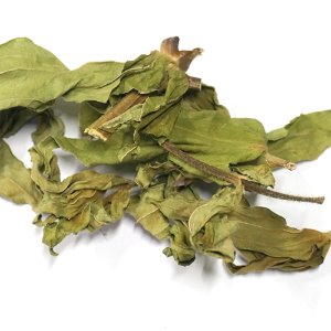 백일홍 잎 50g (Zinnia elegans Leaf) 국산-청주
