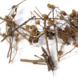 산국 1k0g (Chrysanthemum Boreale) 국산-청주