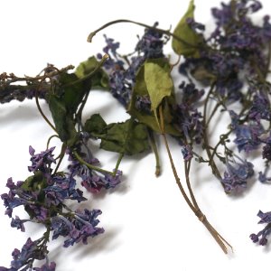 서양수수꽃다리(라일락) 꽃  50g (Syringa Vulgaris (Lilac) Flower) 국산-청주