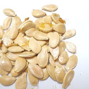 당호박씨 1kg (Cucurbita Pepo (Pumpkin) Seed) 국산-청주