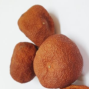 귤 (온주밀감) 50g (Citrus Unshiu Fruit) 국산-제주