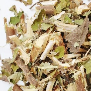 닥나무 전초 50g (Broussonetia Leaf/Stem) 국산-제주