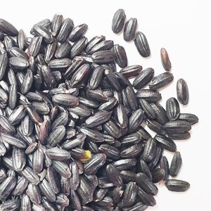 흑미 50g (Oryza Sativa (Rice) Kernel) 국산-제주