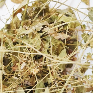 긴병꽃풀 전초 (연전초/금전초) 1kg (Liriodendron Tulipifera) 국산-청주