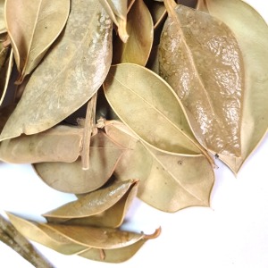 호랑가시나무 잎 50g (Ilex Cornuta Leaf) 국산-청주