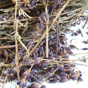 라벤더꽃/잎/줄기 100g (Lavandula Angustifolia (Lavender) Flower/Leaf/Stem) 국산-청주