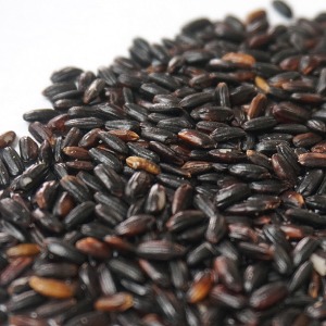 흑미(찹쌀흑미) 1kg (Germinated Oryza Sativa (Glutinous Rice)) 국산