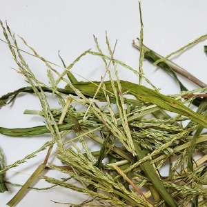 바랭이 전초 50g (Digitaria Ciliaris) 국산-청주