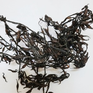 모자반 50g (Sargassum Fulvellum) 국산-제주
