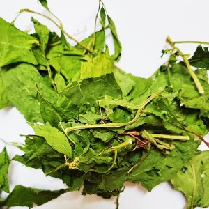 미국자리공 잎 50g (Phytolacca Decandra Leaf) 국산-청주