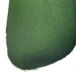 클로렐라 미누티시마 50g (Chlorella Minutissima) 미국산