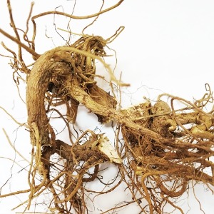 목화(코튼) 뿌리 50g (Gossypium Arboreum (Cotton) Root) 국산-청주