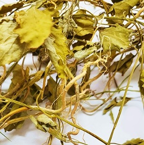 흰명아주어린싹(전초) 50g (Chenopodium Album Sprout) 국산-청주