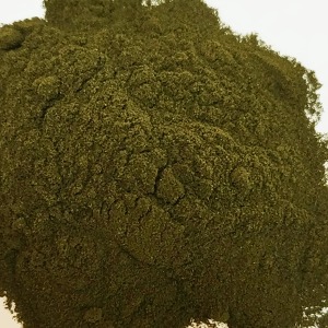 클로렐라발효 50g (Chlorella Ferment) 국산