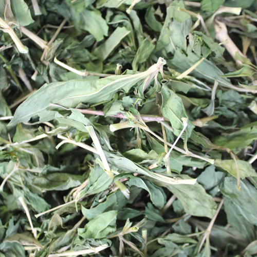 비누풀(소프워트) 전초 1kg (Saponaria Officinalis) 국산-청주