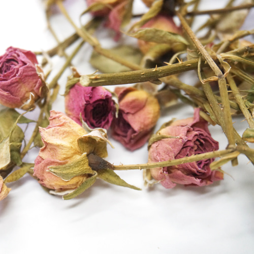 미니장미 꽃 50g (Rose) 국산-청주