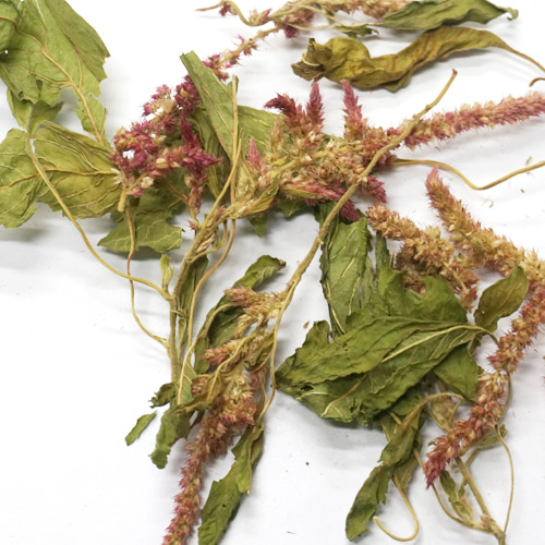 아마란스꽃/잎/줄기 50g (Amaranthus Hypochondriacus Flower/Leaf/Stem) 국산-청주