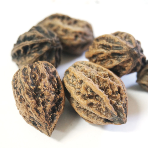 가래나무열매 100g (Juglans Mandshurica (Walnut) Fruit) 국산-청주
