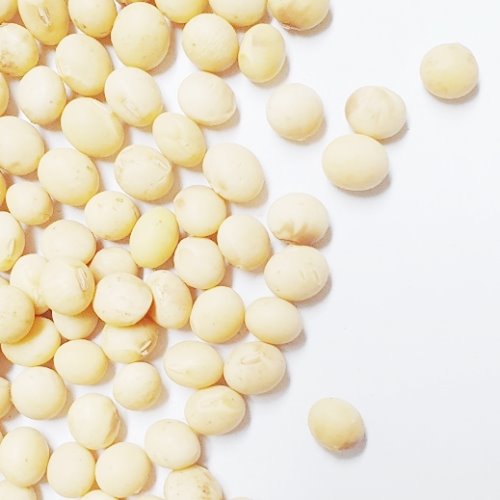 돌콩(유기농) 100g (Glycine Soja (Soybean) Seed) 국산-청주