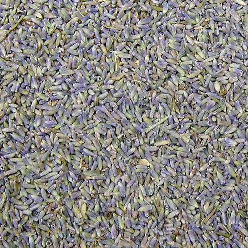 라벤더꽃 1kg (Lavandula Angustifolia (Lavender) Flower) 중국