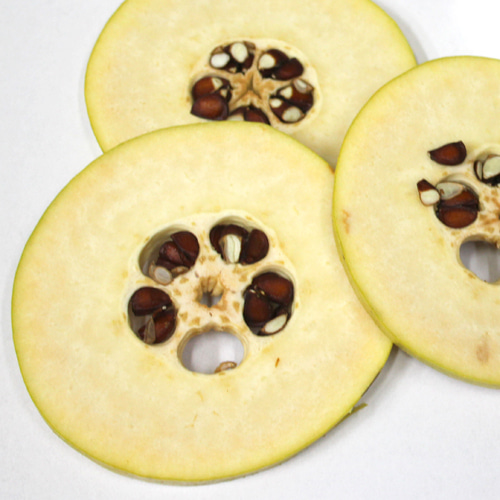 모과(세절) 1kg (Chaenomeles Sinensis Fruit) 국산-영천