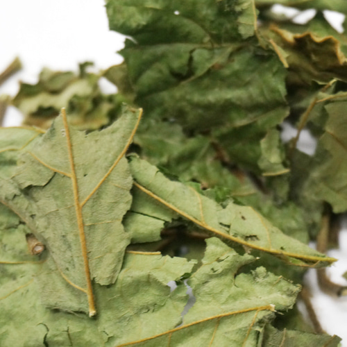 뽕나무 잎 50g (Morus Alba Leaf) 국산-청주