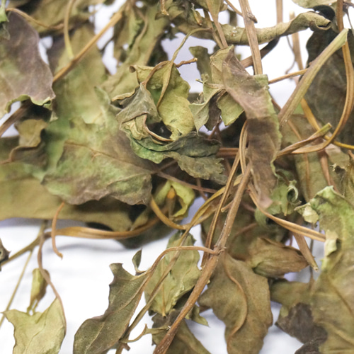 서양메꽃/잎/줄기 50g (Convolvulus Arvensis Flower/Leaf/Stem) 국산-청주