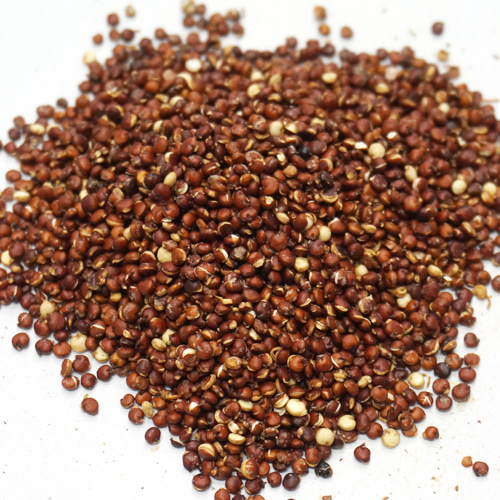 퀴노아 씨(레드) 1kg (Chenopodium Quinoa Seed (Red))  페루