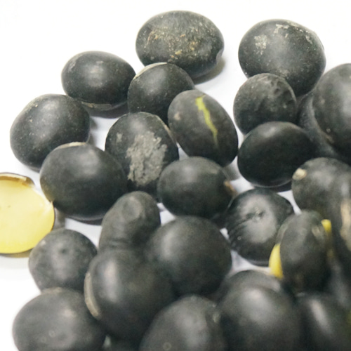 검정콩(서리태) 50g (Glycine Max (Soybean) Seed) 국산