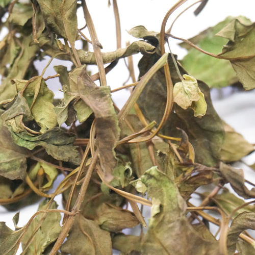 서양메꽃 꽃/잎/줄기 50g (Convolvulus Arvensis Flower/Leaf/Stem) 국산-청주