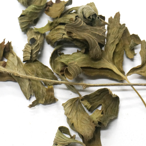 할미꽃 잎 50g (Pulsatilla Koreana Leaf) 국산-청주