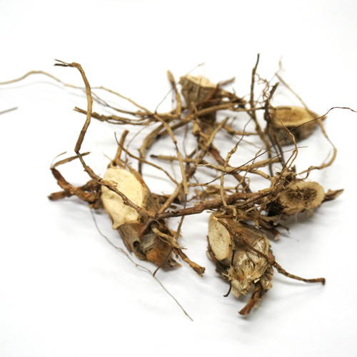 유카 잎/뿌리 50g (Yucca Vera Leaf/Root) 국산-청주