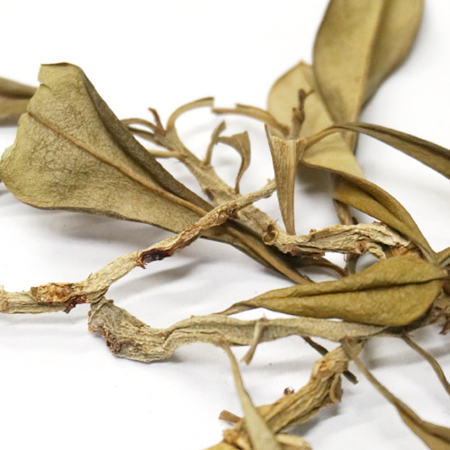 사막장미 잎 50g (Adenium Obesum Leaf) 국산-청주